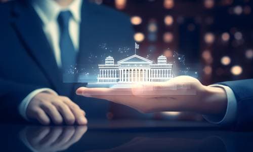 Public Sector and Social Programs